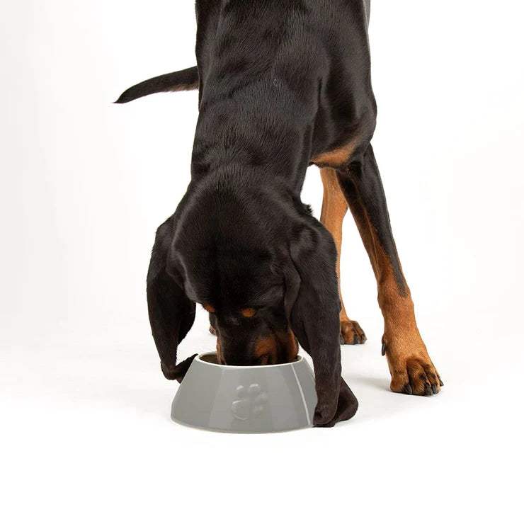 Scruffs Classic Long Eared Dog Bowl Little Chief Co