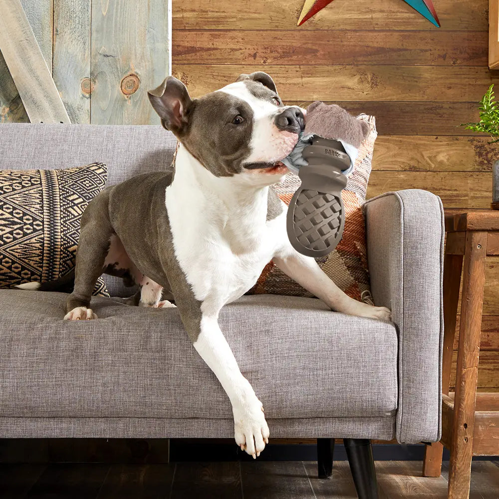 P.B. Beaver Durable Super Chewer 2-in-1 Rip and Reveal Dog Toy