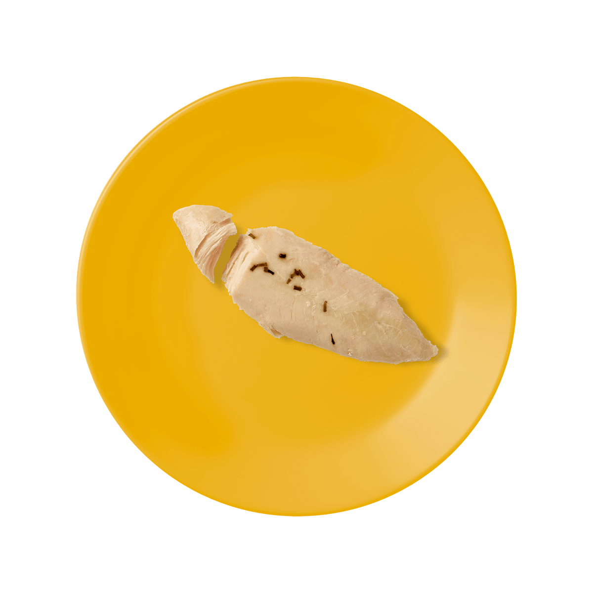 Chicken & Rosemary Filet Treat