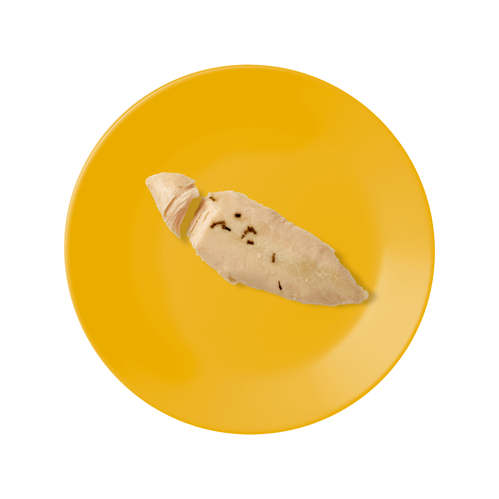 Chicken & Rosemary Filet Treat