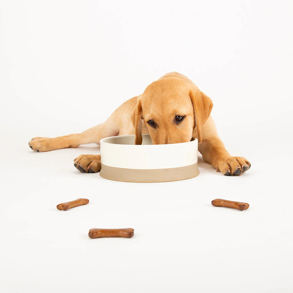 Scandi Non Tip Food & Water Bowl - Cream