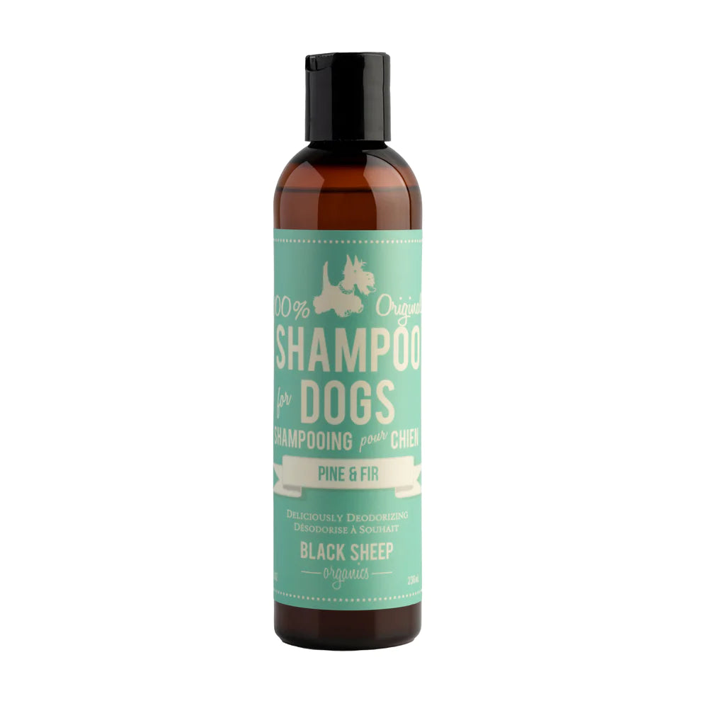 Pine &amp; Fir Shampoo