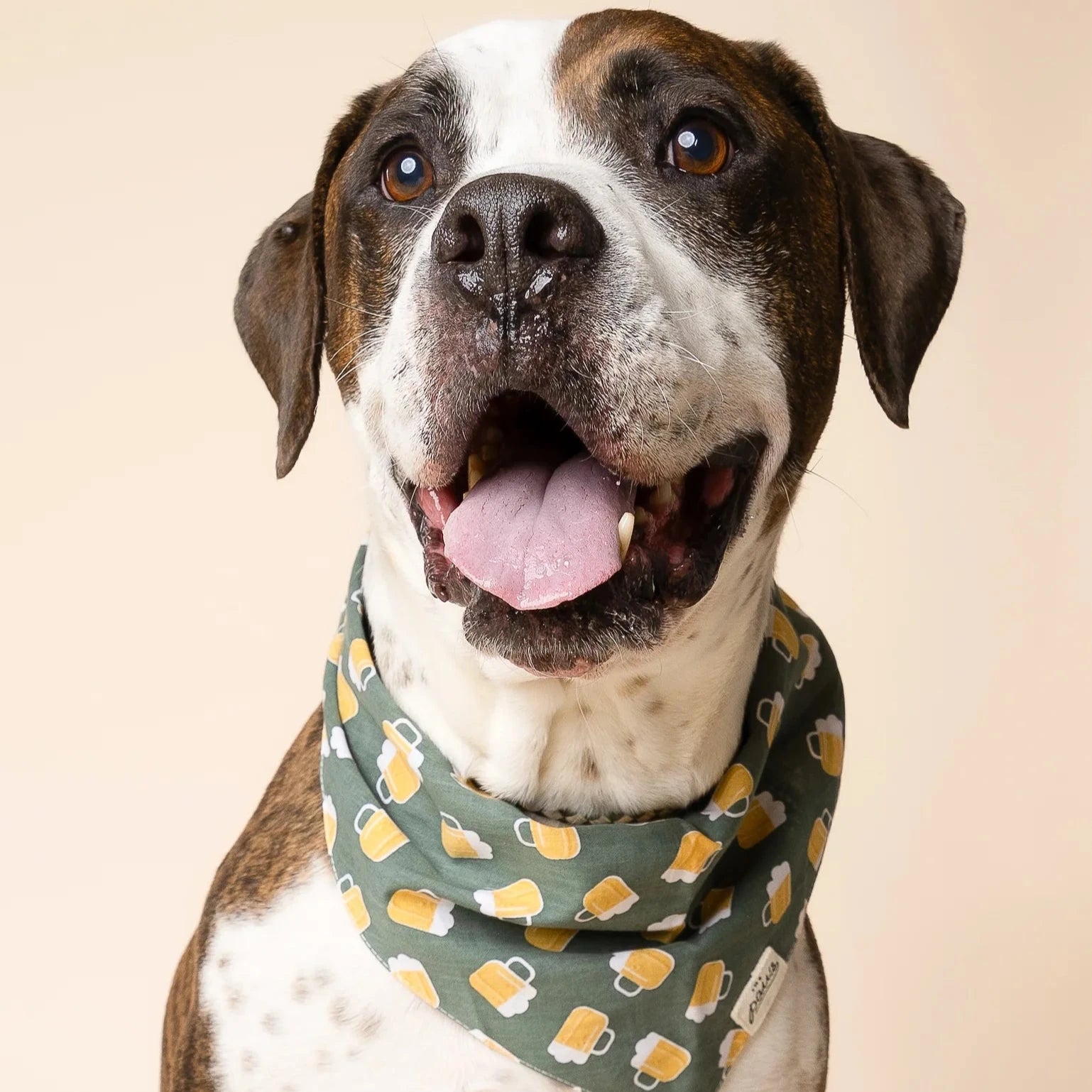 Brew Bandana