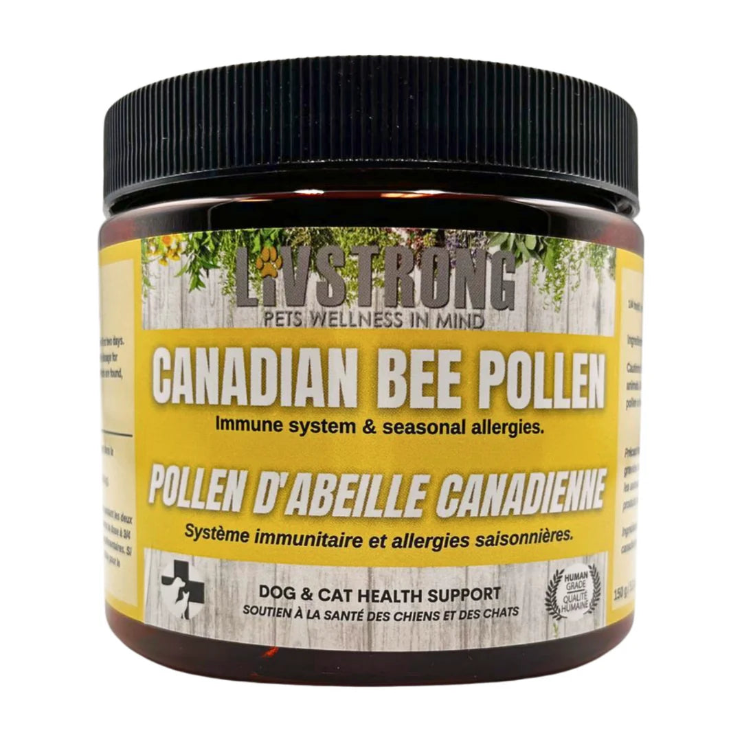 Canadian Bee Pollen *FINAL SALE : Expiry 04/26*