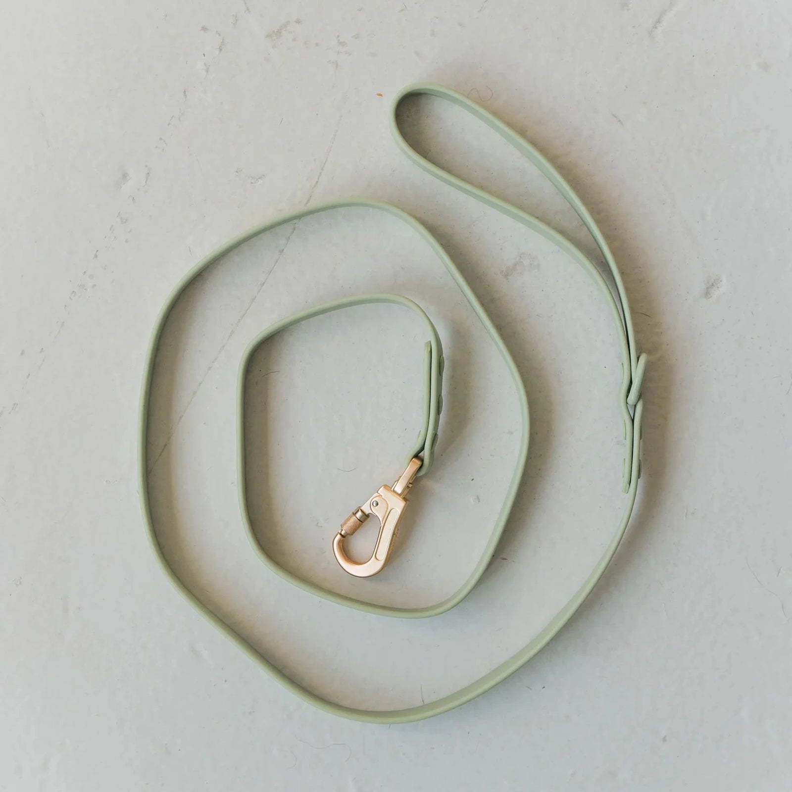 Waterproof Dog Leash - Sage Green