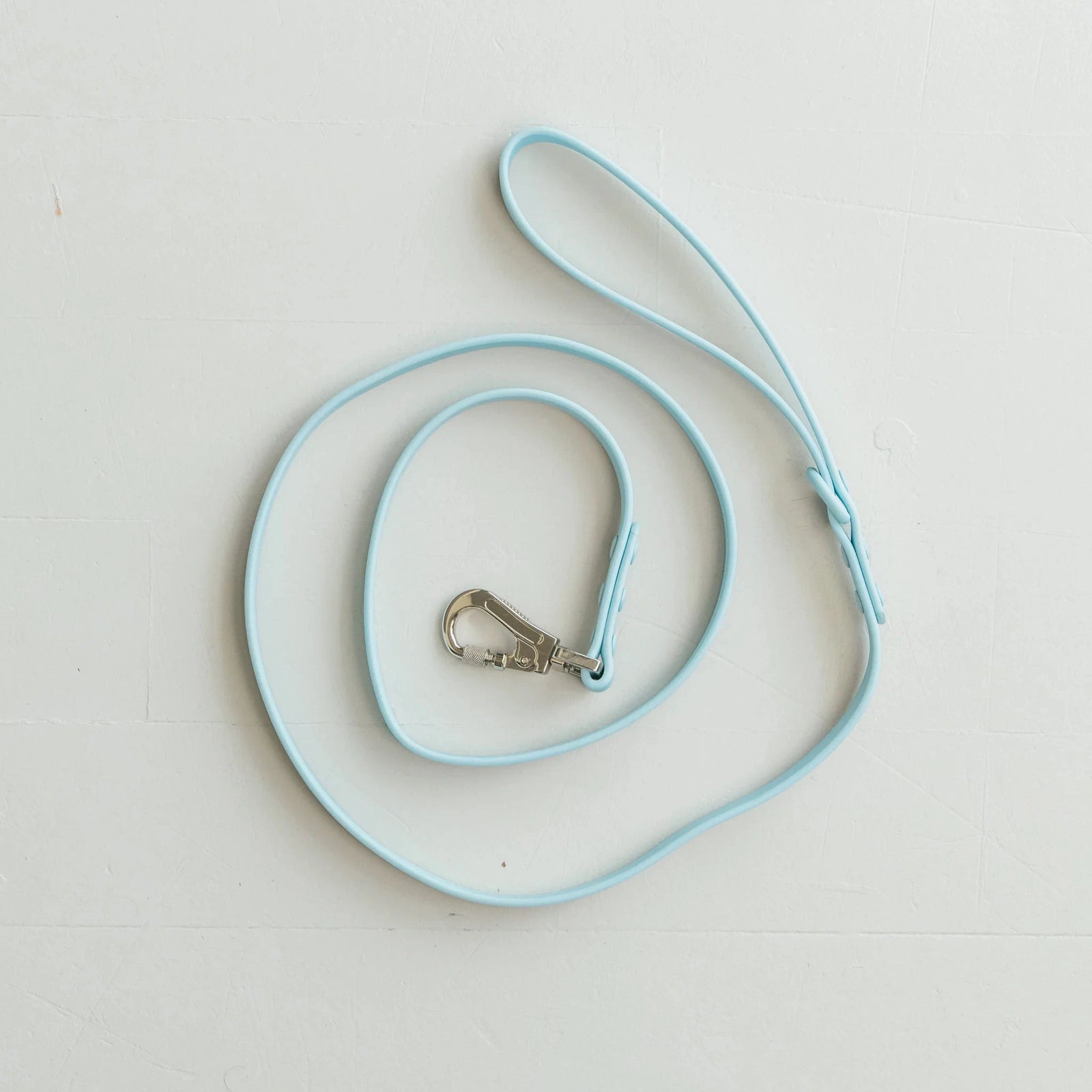 Waterproof Dog Leash - Sky Blue