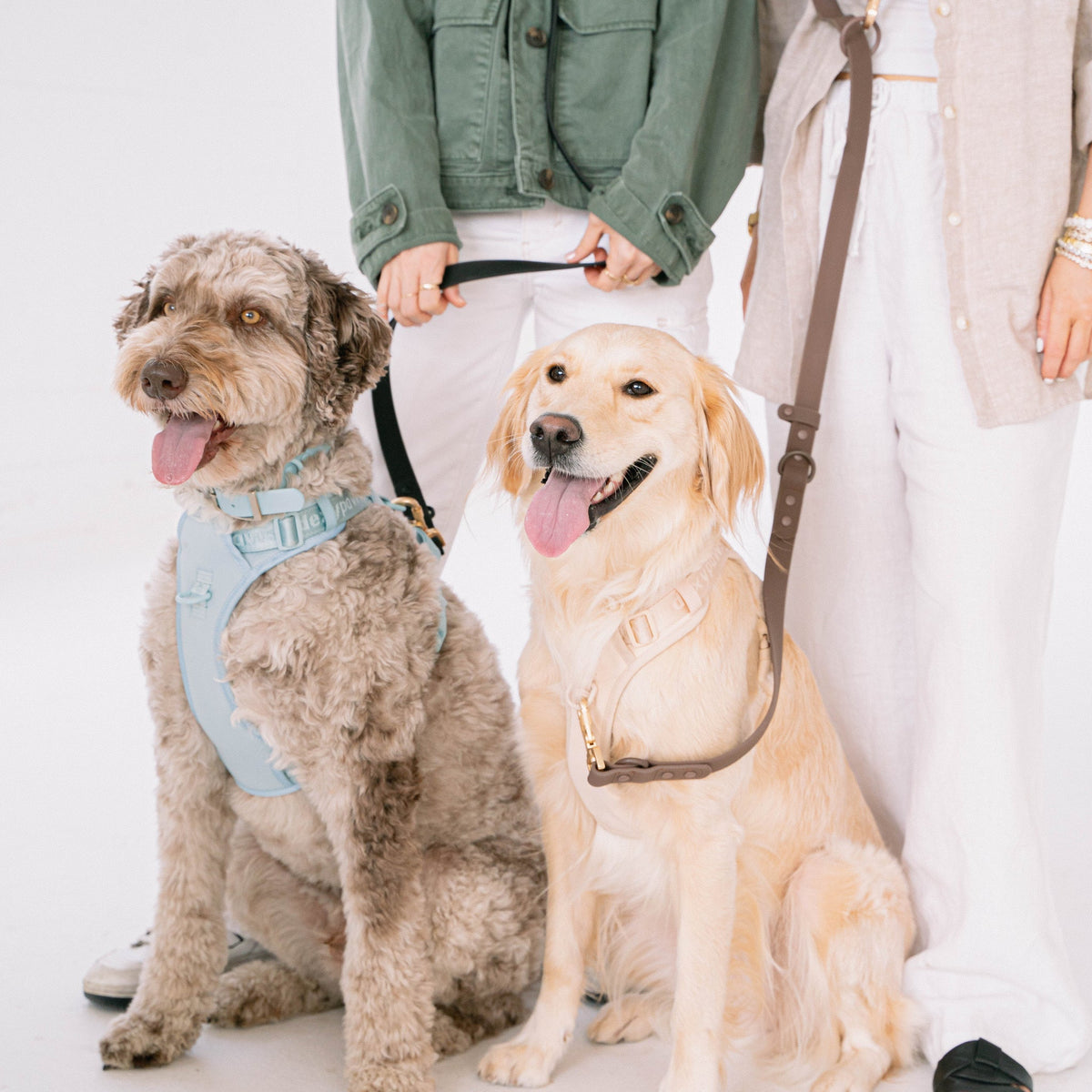 Waterproof Hands Free Leash