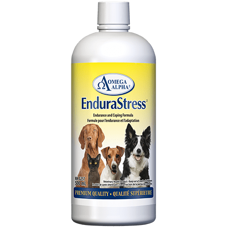 EnduraStress - Endurance & Coping Formula