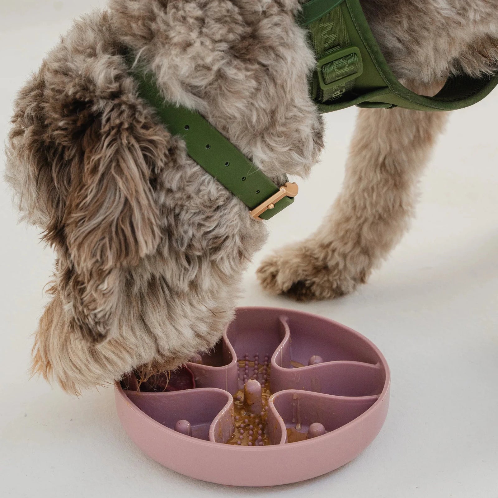 Blush Pink Hide & Seek Slow Feeder