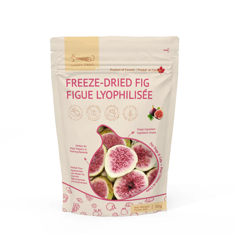 Fruity Crunchy Freeze Dried Fig