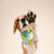 Fetch Bandana