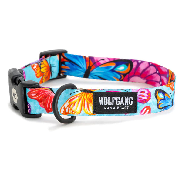 Man beast dog collars deals