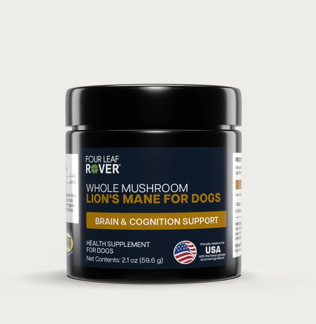 Lion's Mane - Organic Mushroom Extract