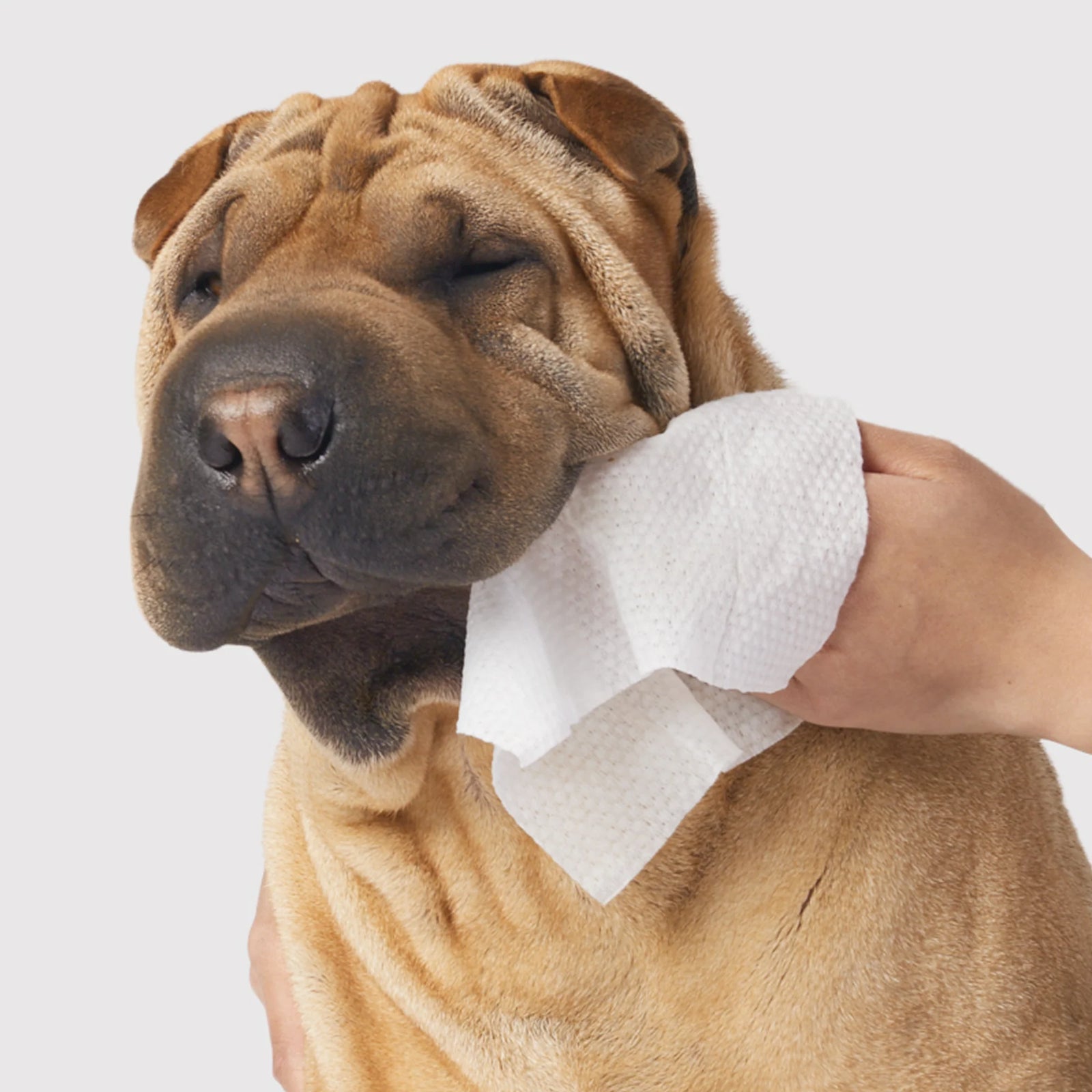 Gentle Cleanse Dog Wipes