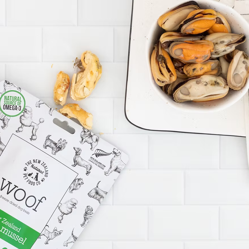 New Zealand Green Mussel