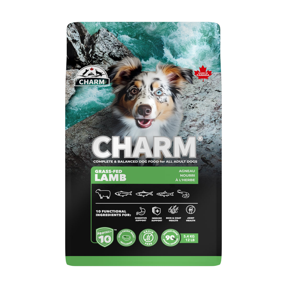 Grass-Fed Lamb Dry Dog Food
