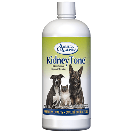 KidneyTone - Kidney Detoxification Formula