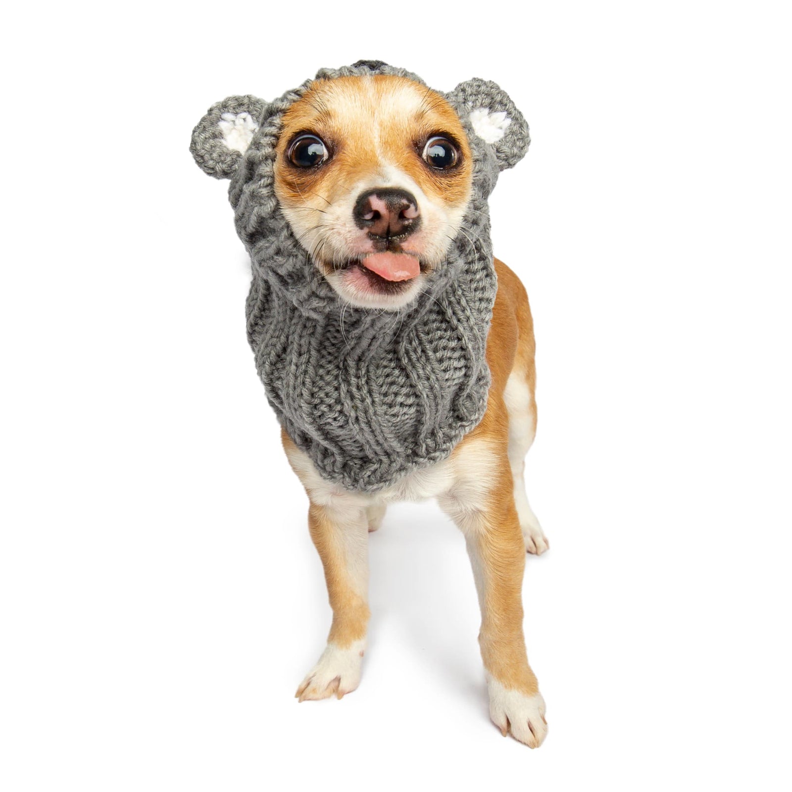 Koala Zoo Snood