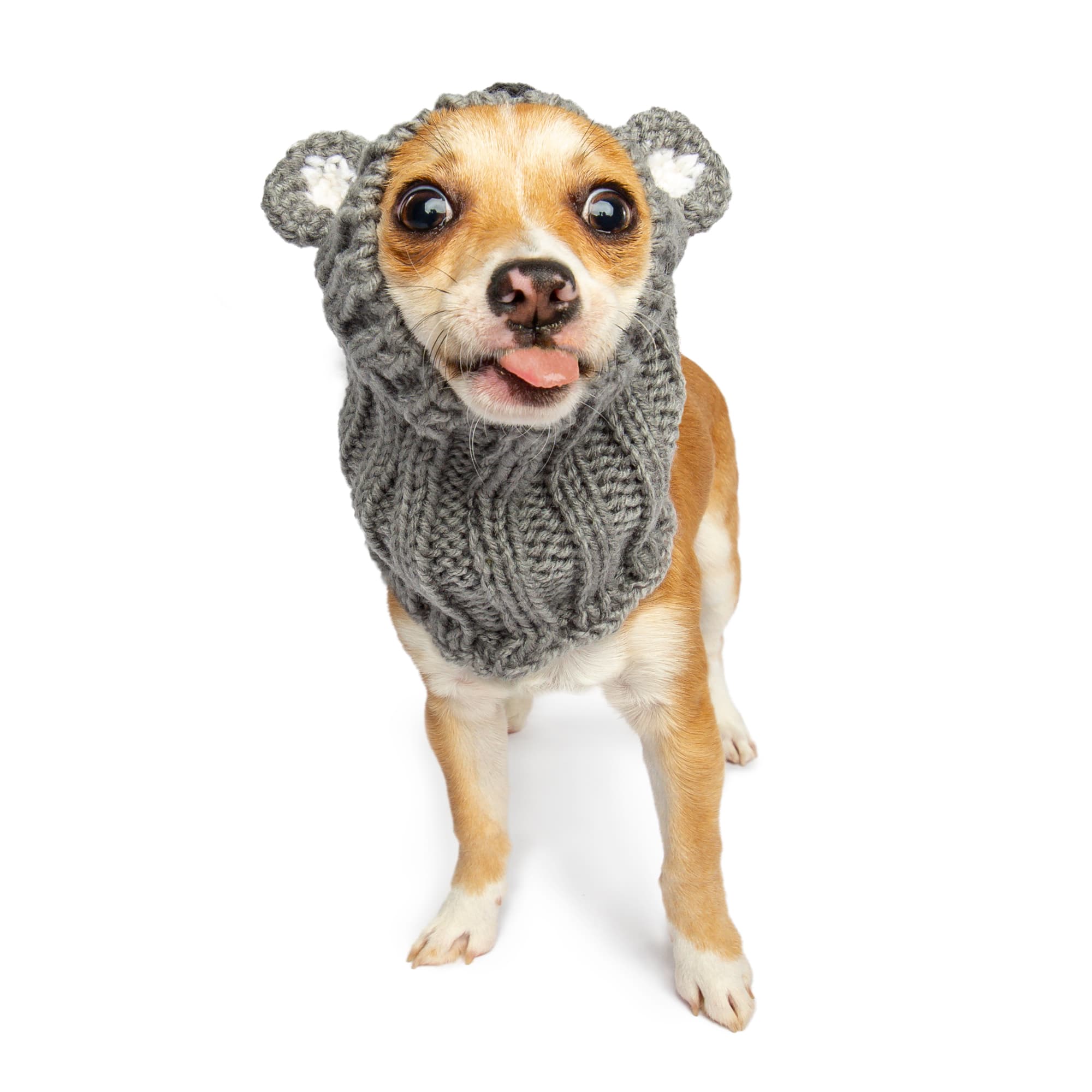 Koala Zoo Snood