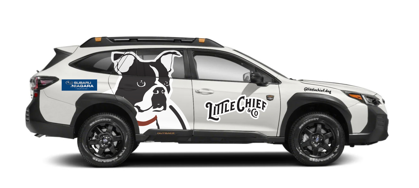 Little Chief & Co. - A New Breed of Pet Outfitter
