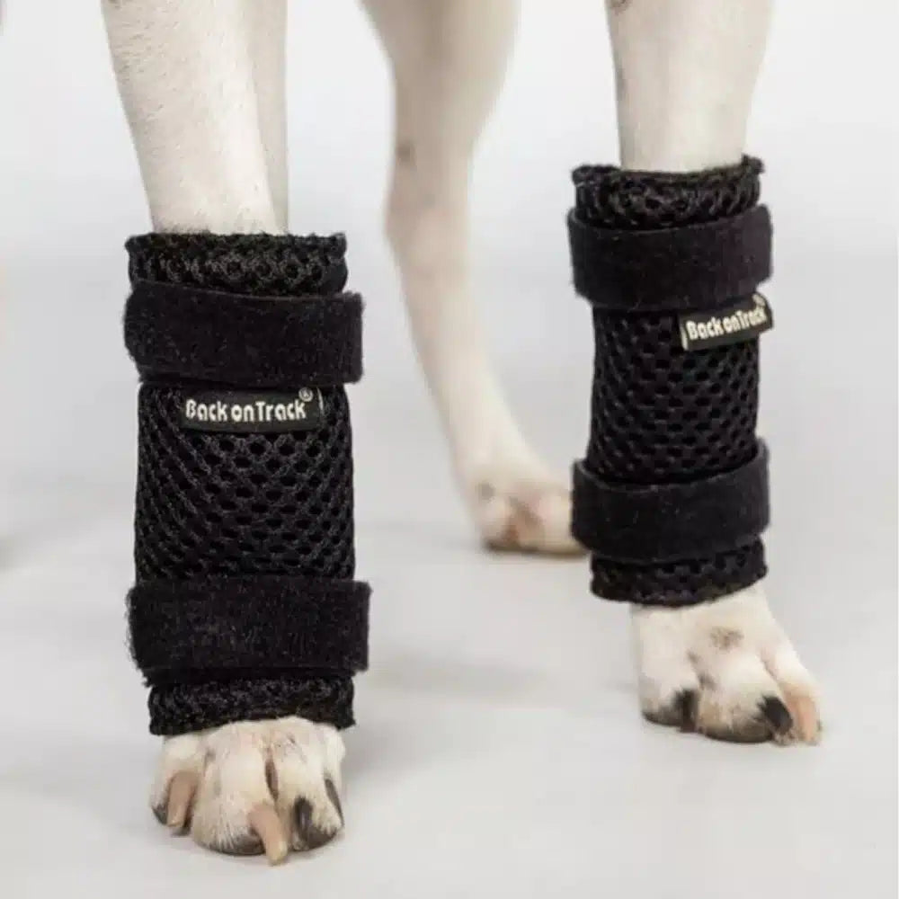 Milo Dog Therapeutic Leg Brace