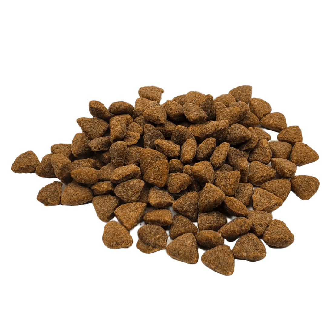 Rabbit dry cat food hotsell