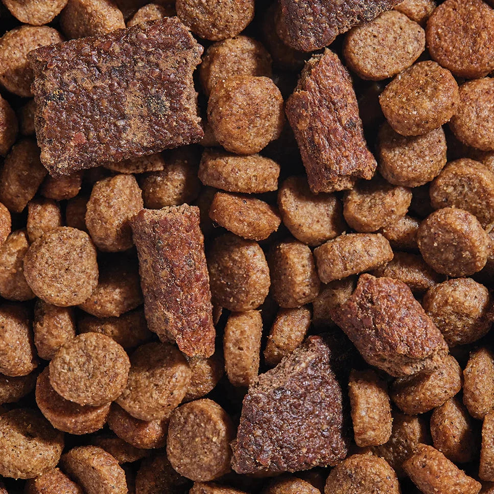 Epic Blend Salmon & Superfood Recipe