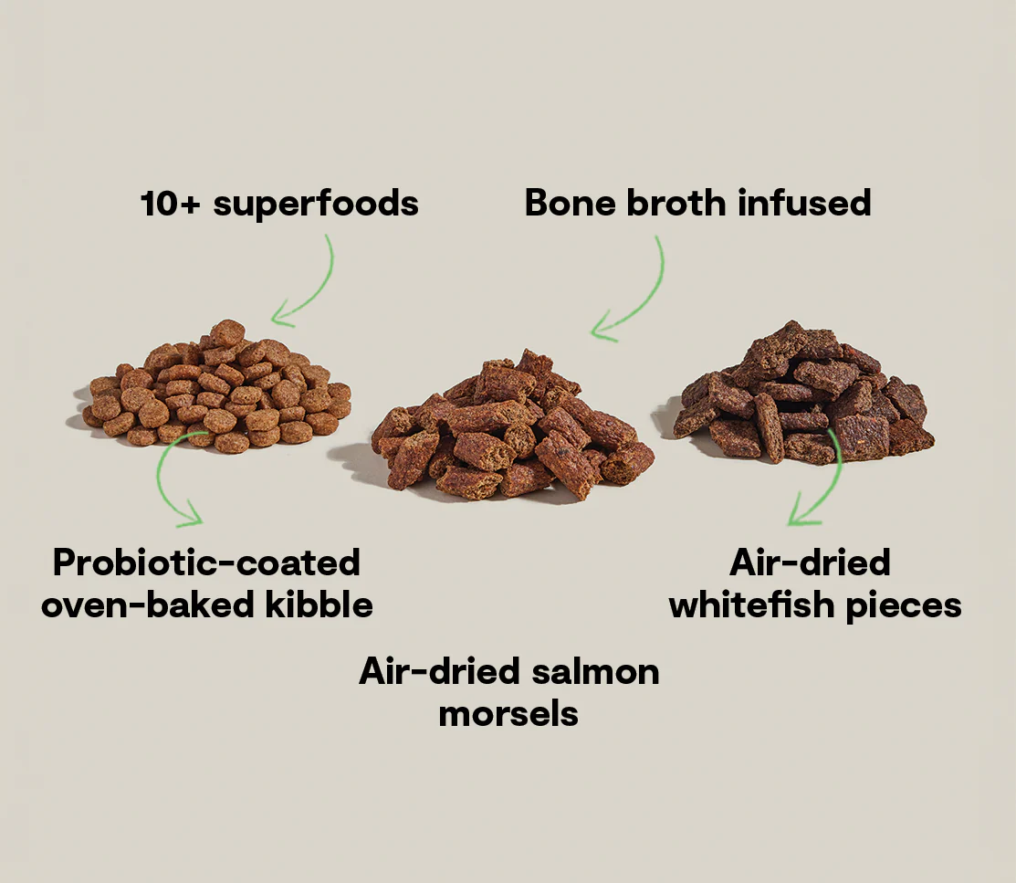 Epic Blend Salmon & Superfood Recipe