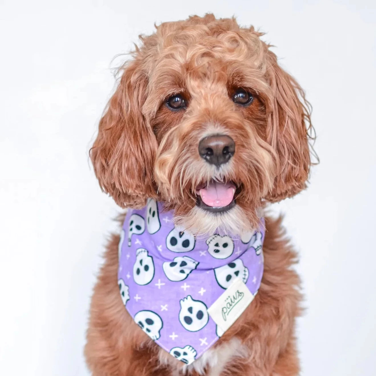 Purple Skull Bandana