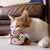 Feline Frenzy Foxsy & Hopsy Toy Set