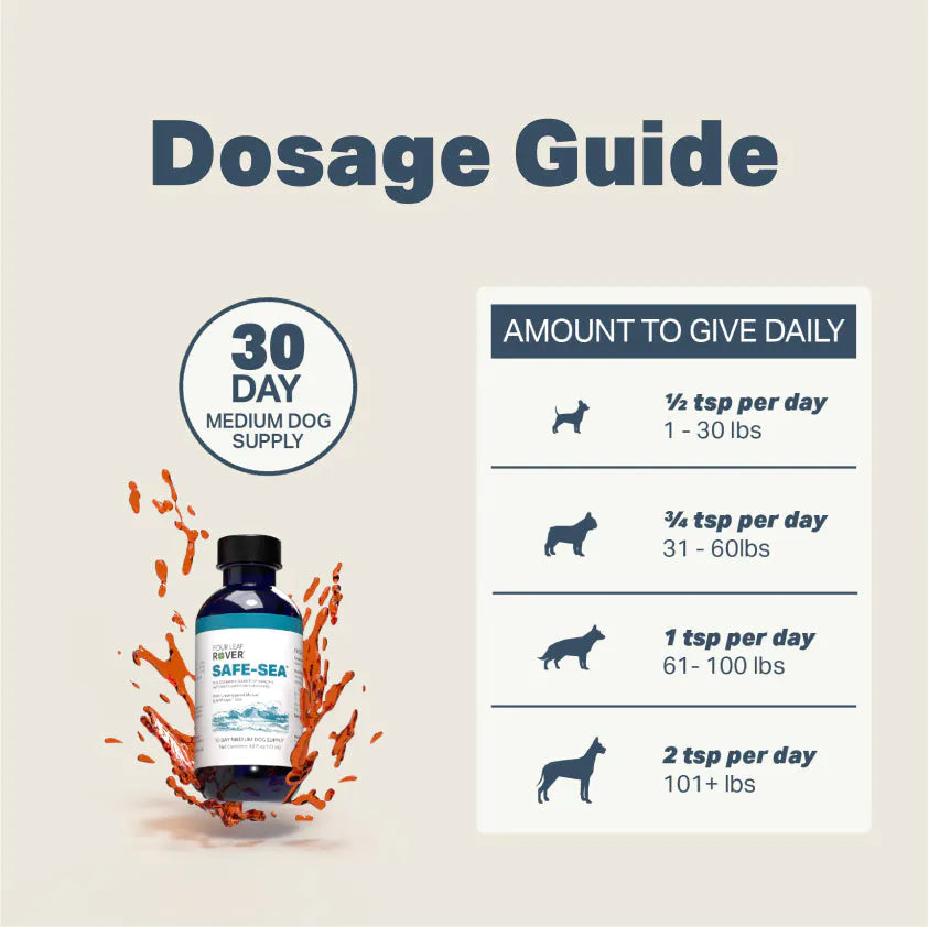 Safe-Sea: Green Lipped Mussel Oil for Dogs