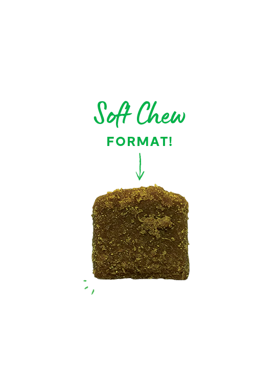 Hip & Joint Supplement Chews for Dogs *FINAL SALE*