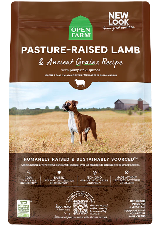 Pasture Raised Lamb Ancient Grains Dry Dog Food