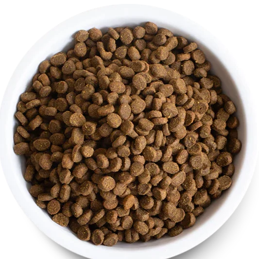 Wild-Caught Salmon Dry Cat Food