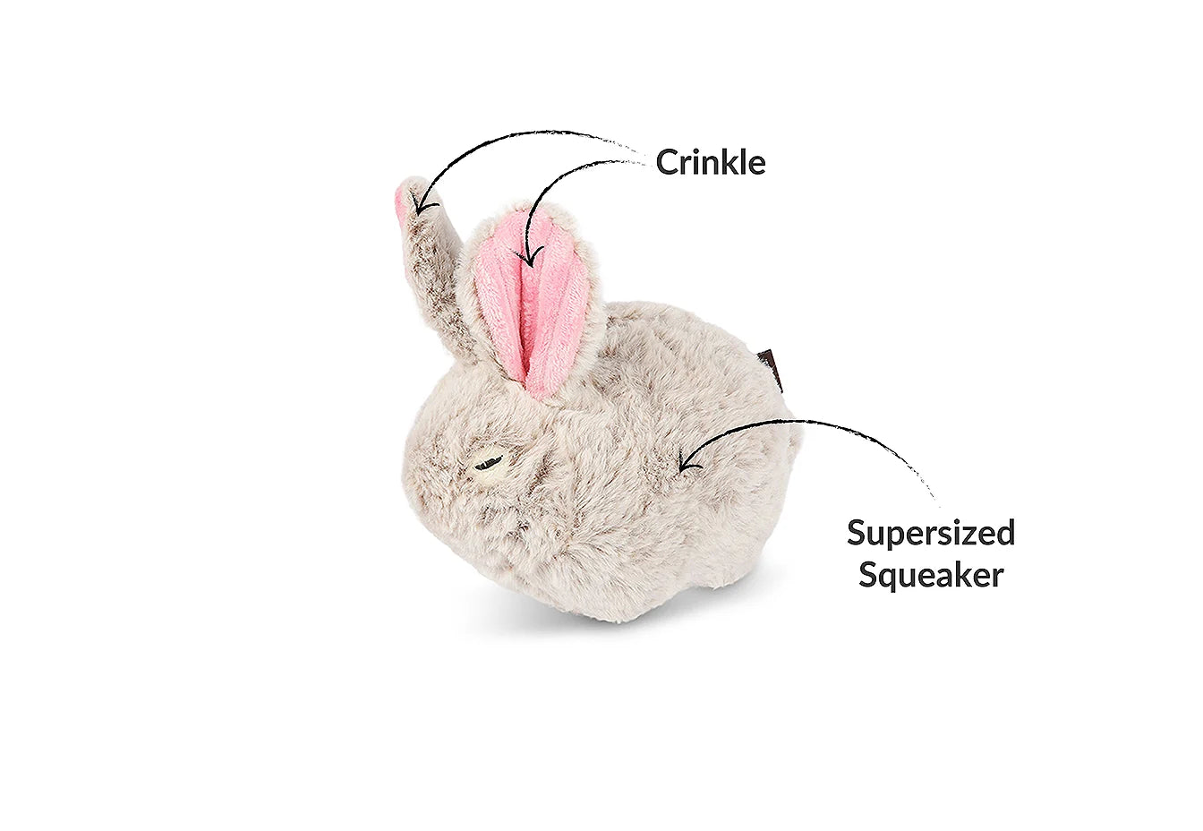 Baxter the Bunny