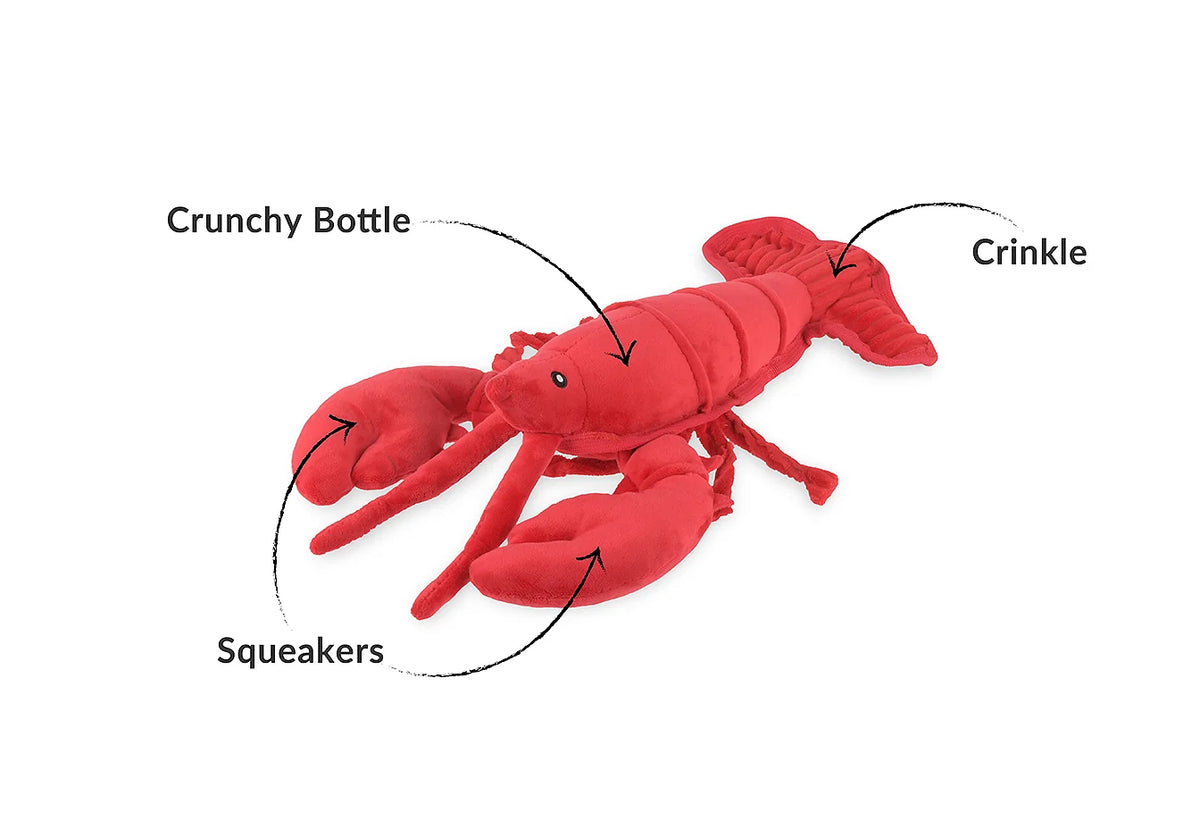 Ocean Buddies Lemmy The Lobster