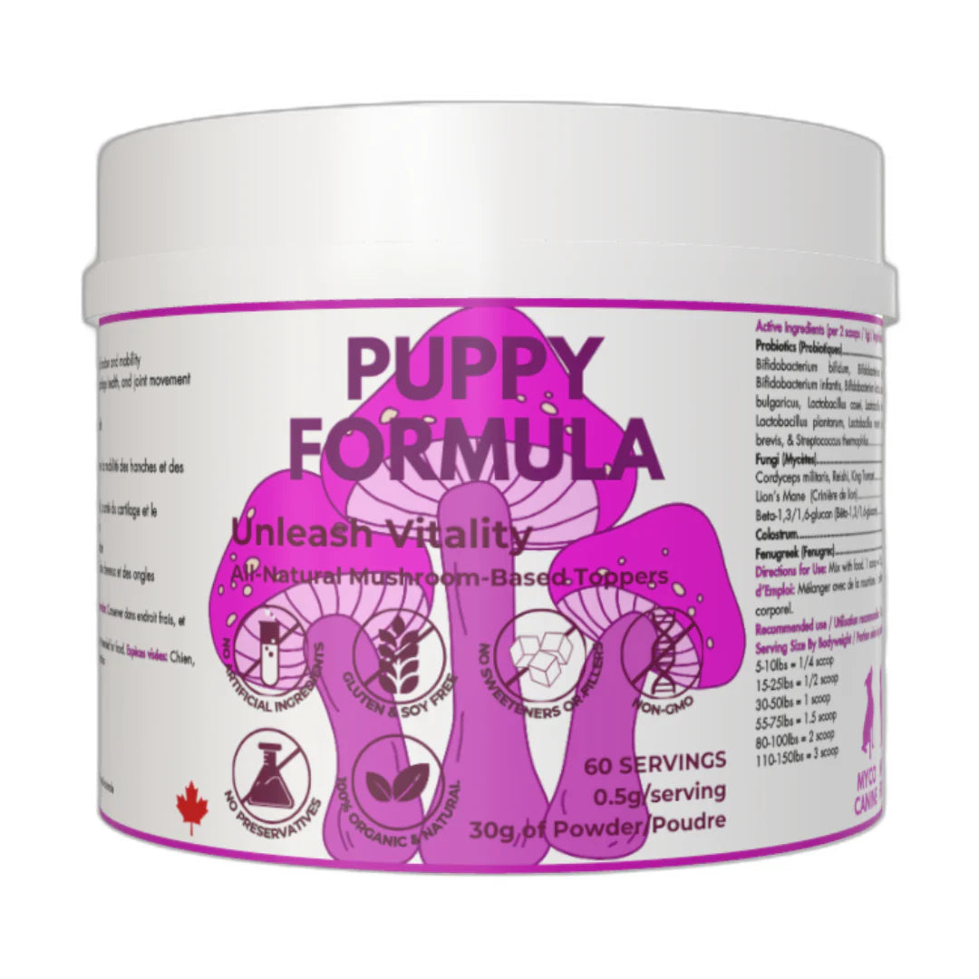 Puppy &amp; Kitten All Natural Mushroom Based Supplement