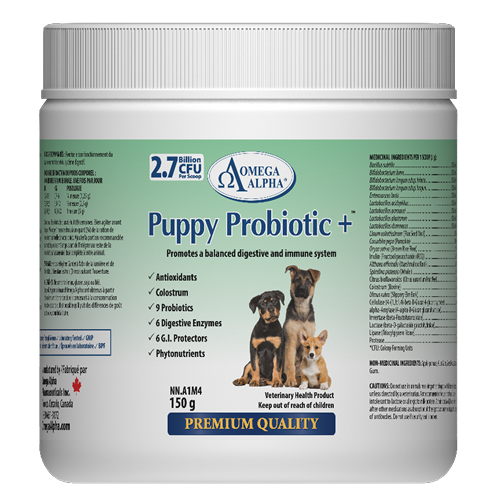 Puppy Probiotics+