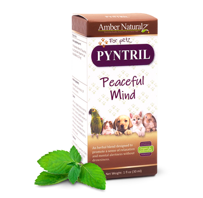 Pyntril - Peaceful Mind