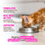 Kitten Chicken & Chicken Liver Pate