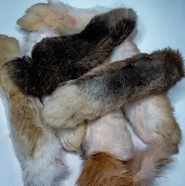 Raw Rabbbit Foot Wilde K9 Raw Furry Rabbit Feet | Little Chief & Co.