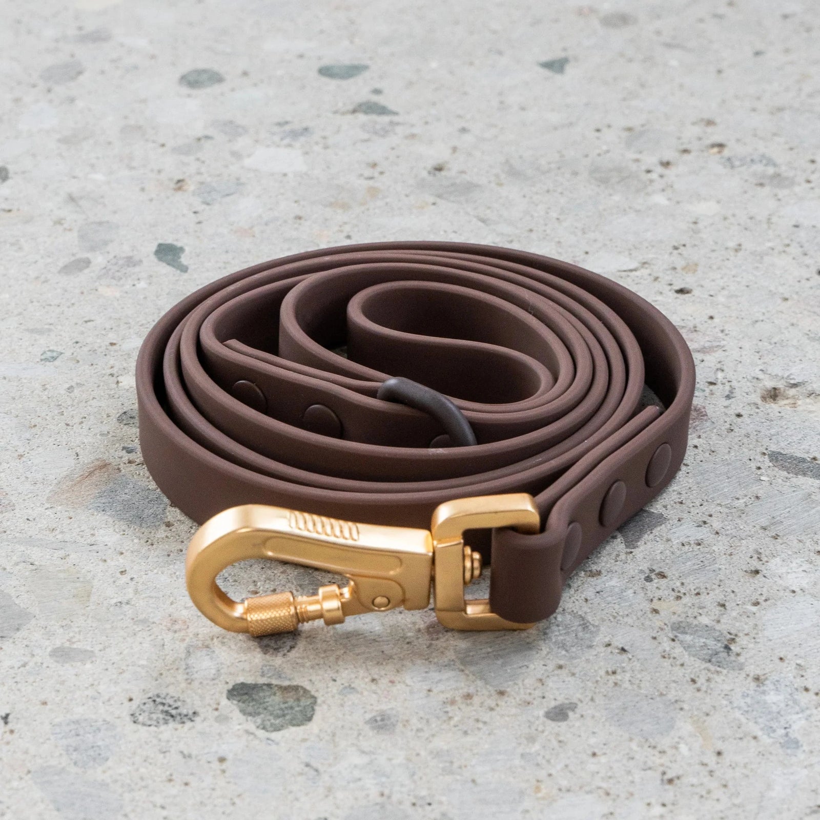 Waterproof Dog Leash - Espresso