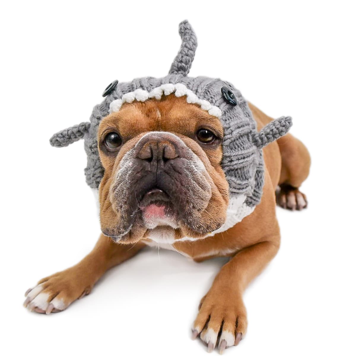 Great White Shark Zoo Snood