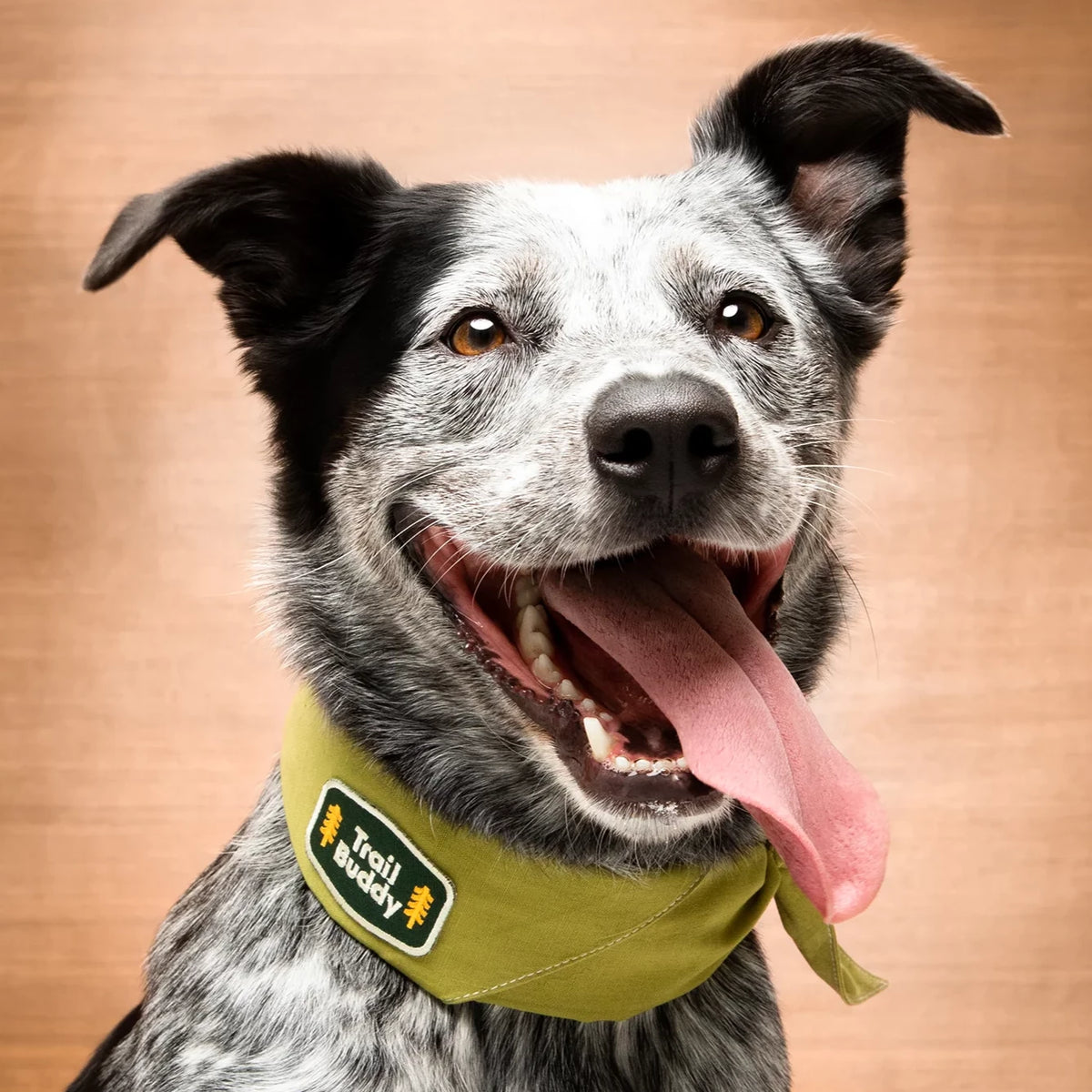 Trail Buddy - Iron On Patch