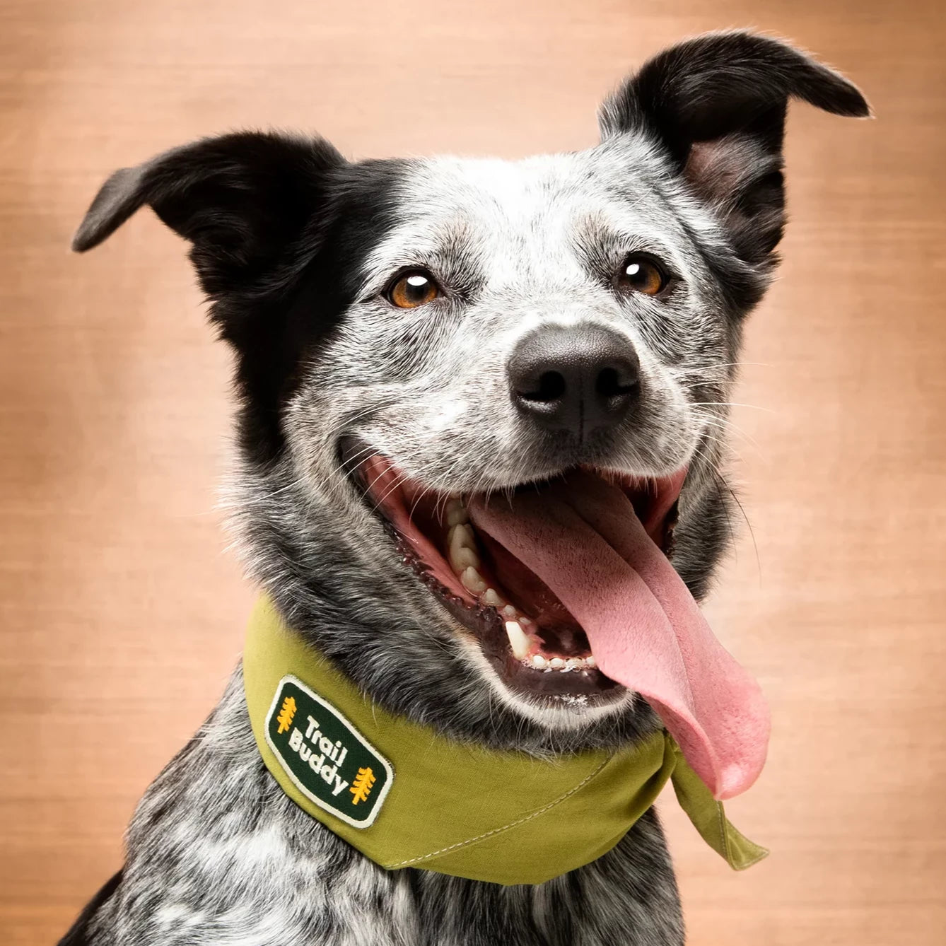 Trail Buddy - Iron On Patch