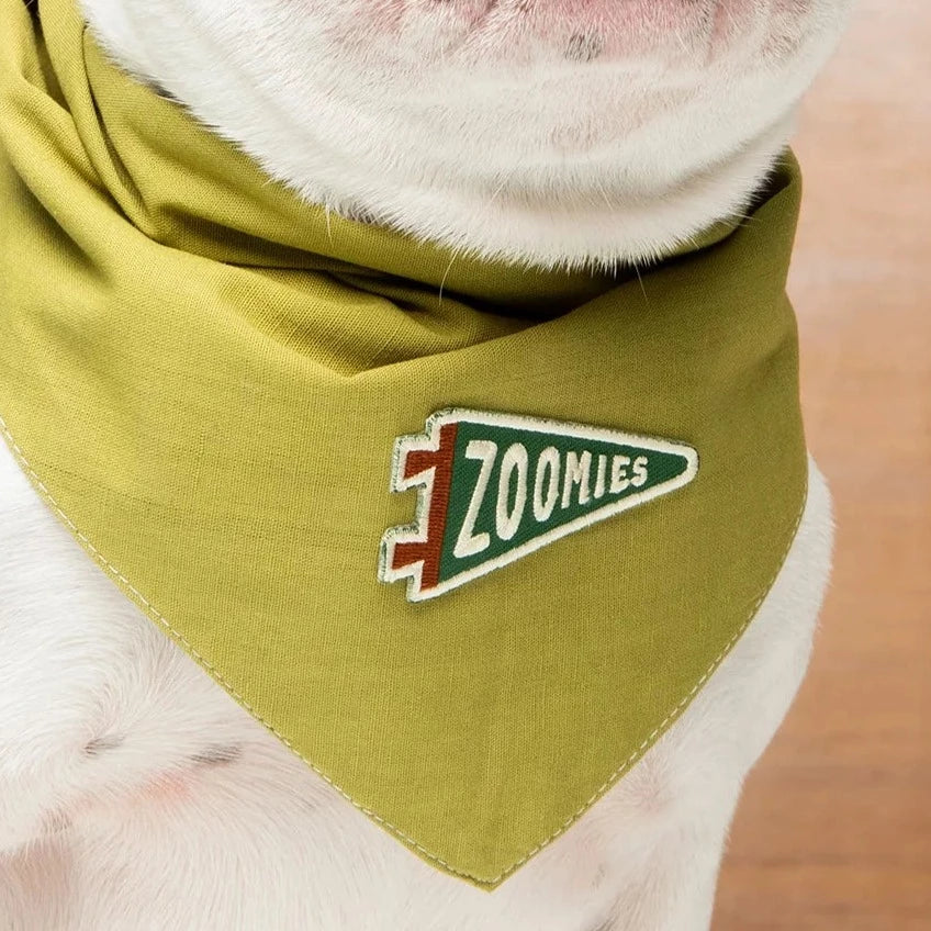 Zoomies - Iron On Patch