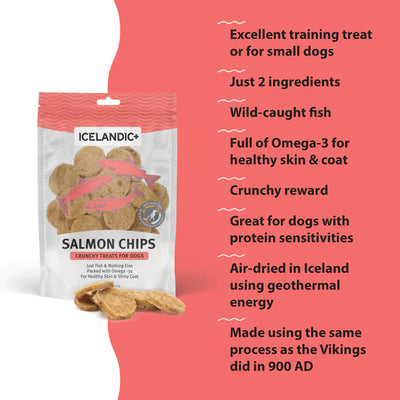 Salmon Fish Chips