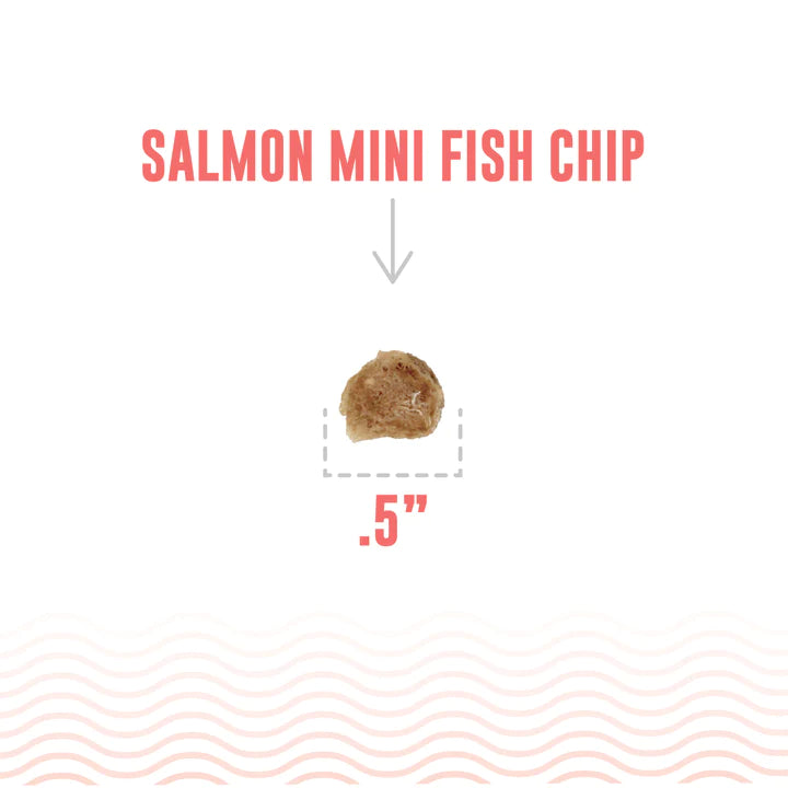 Salmon Mini Fish Chips