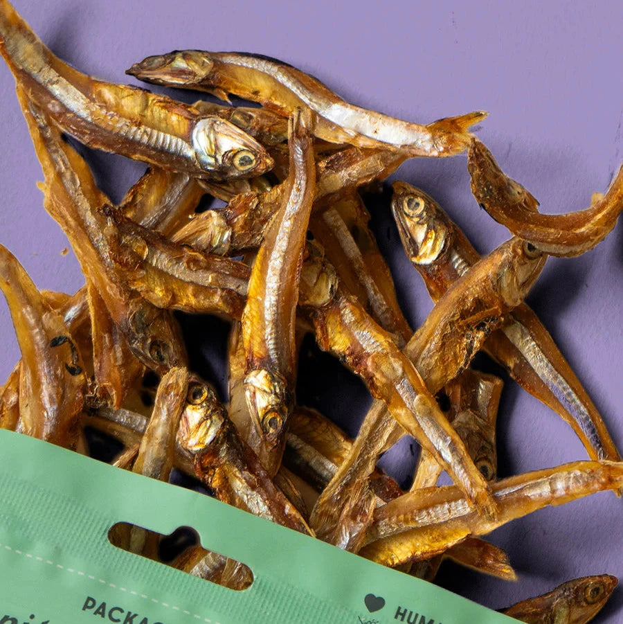 Sun Dried Sardines
