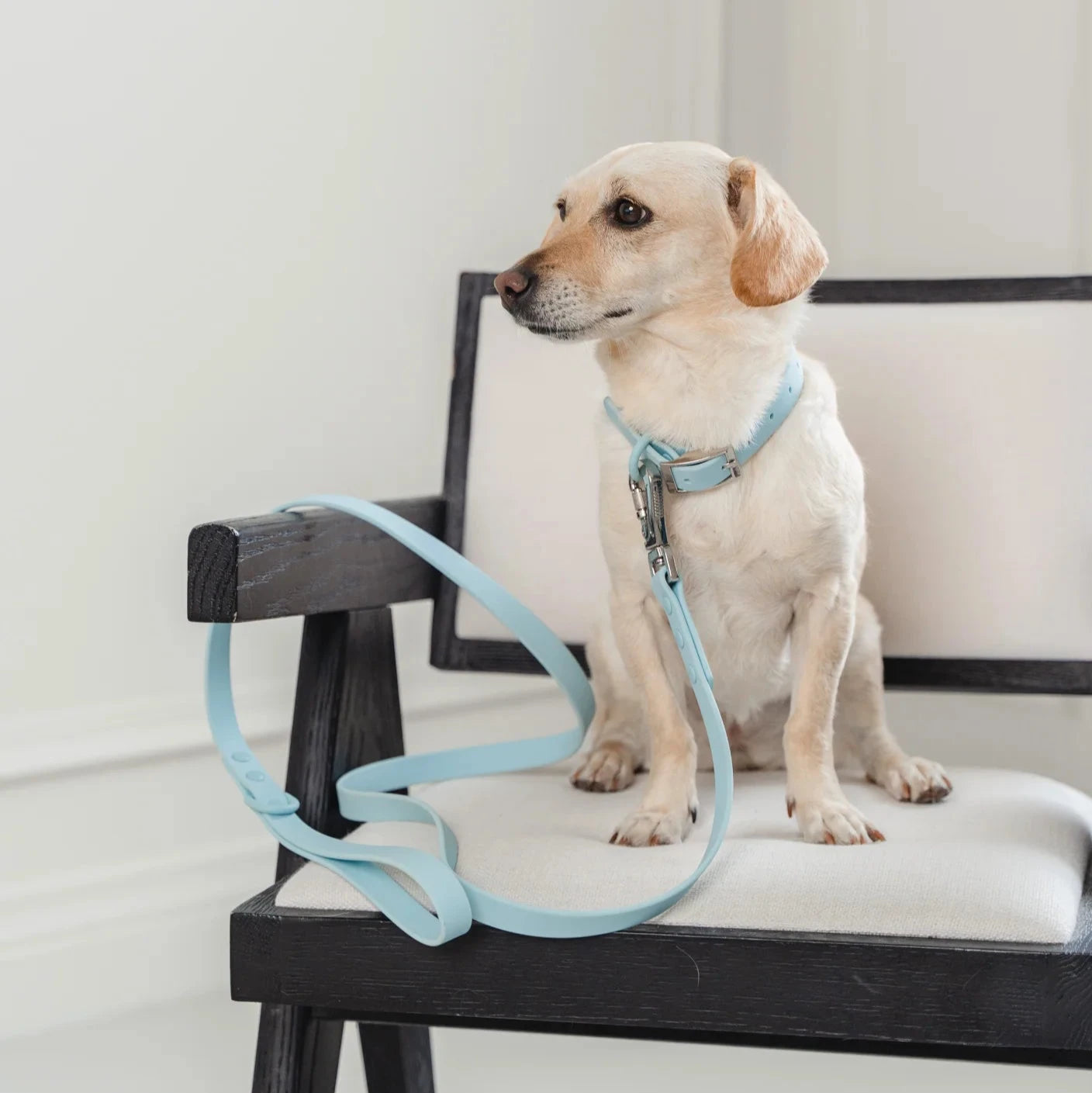 Waterproof Dog Leash - Sky Blue